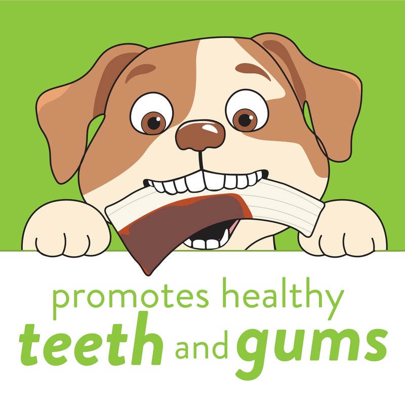 Spunky Pup Snack & Chew Antler Toy | Promotes Healthy Teeth & Gums | Puppy - Image 5